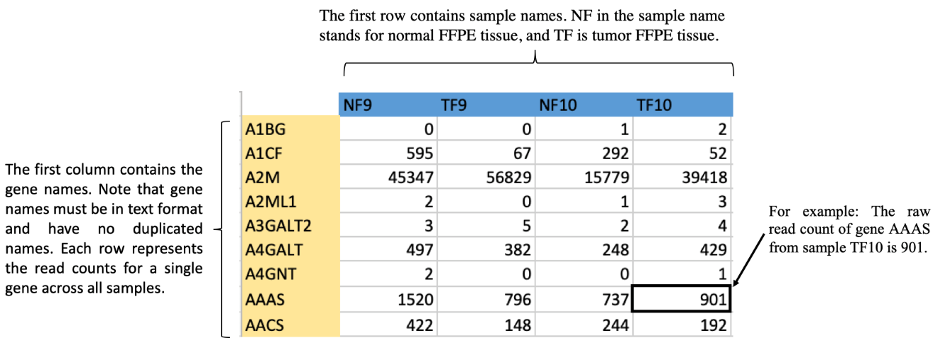 file format